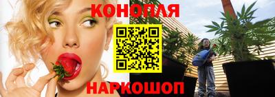 индика Вязники