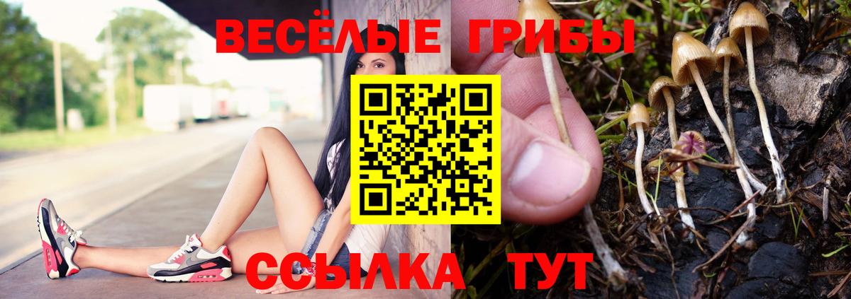 Галлюциногенные грибы мицелий  Вход с VPN  Рузаевка  закладка  Псилоцибиновые грибы Psilocybe 